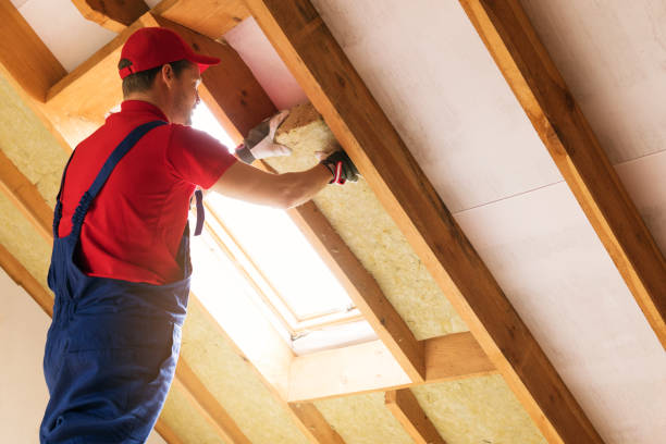 Trusted Myrtle Grove, NC Insulation Experts